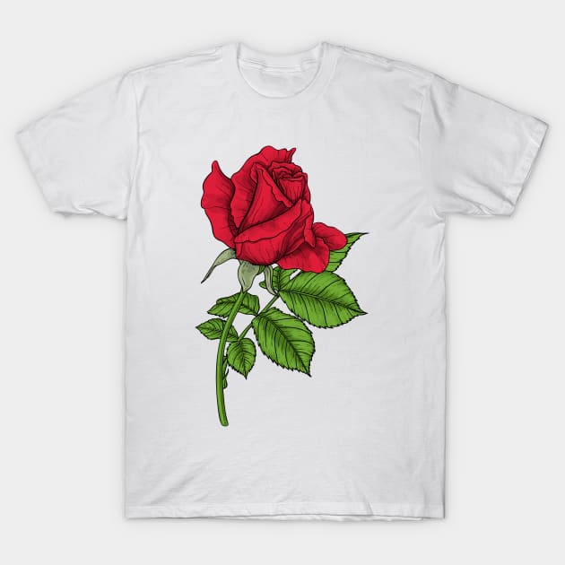 Red rose T-Shirt by katerinamk